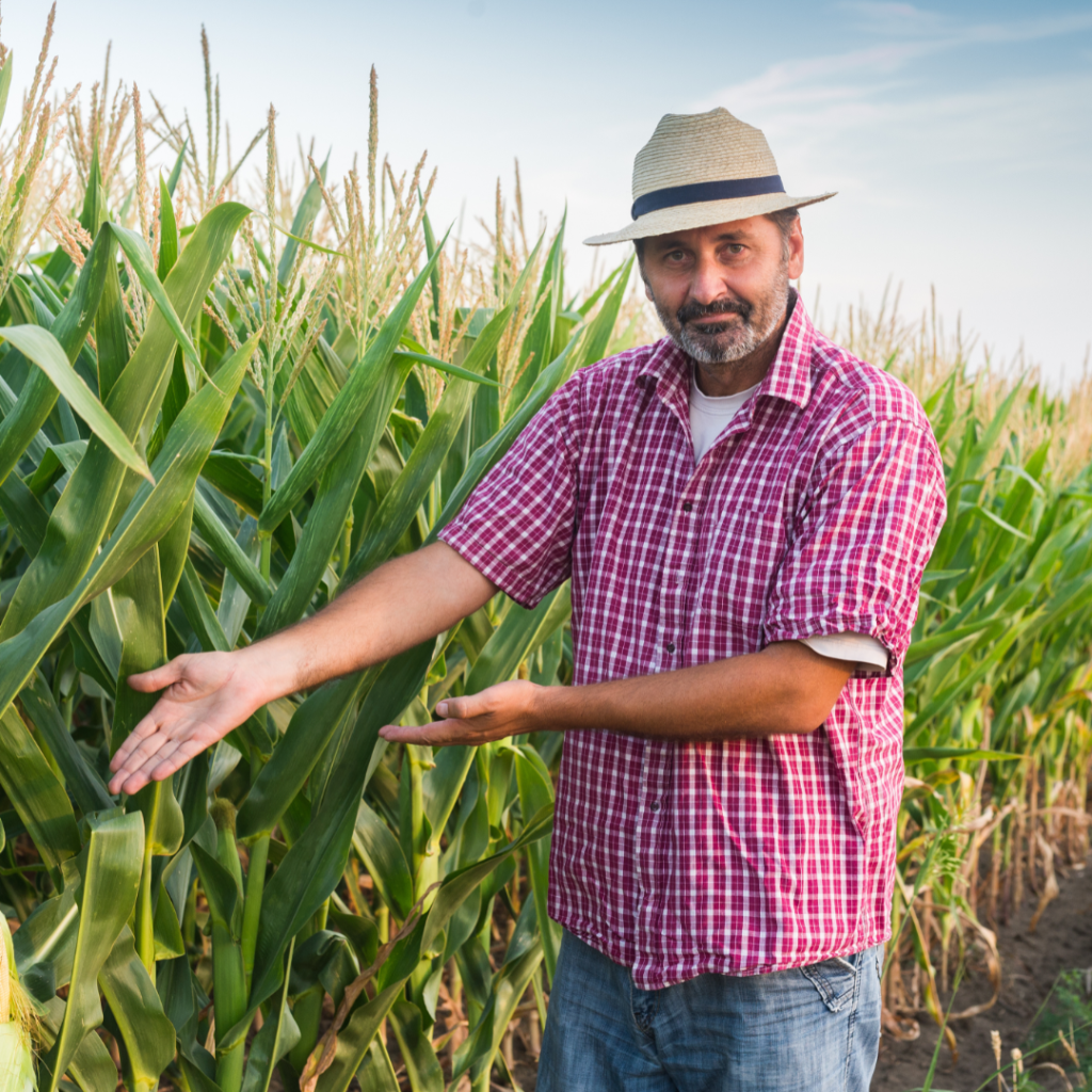 maktab istaqdam al-hind